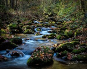 SmokyMtn_1864_TS_2_HDRWRM_V