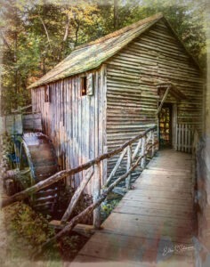 Smoky Mtn_2019_0238_SPE1_S