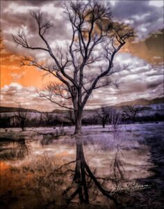 Misc_20_0657-1_TS_SPE3