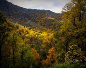 SmokyMtn__20_1741_TS