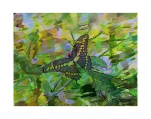 Misc_21_3227_SAIF_SPE1