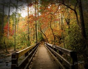 SmokyMtns_7335_2_TS2_S