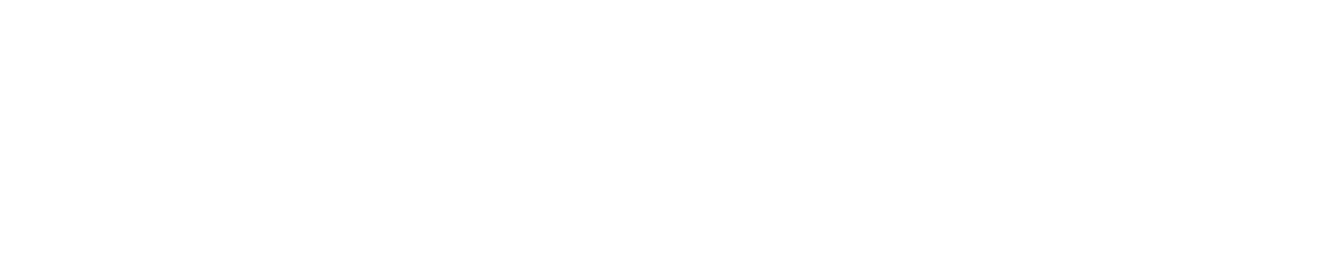 Ellen S Silverman Photography